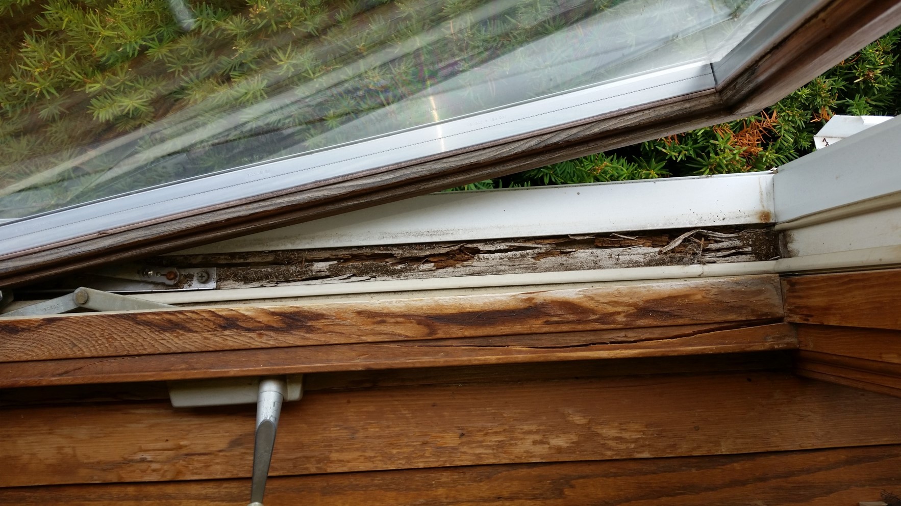 new windows, how much do new windows cost, security of new windows